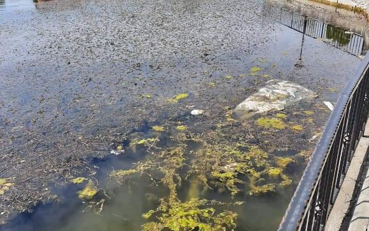 Suprafata apei spune totul