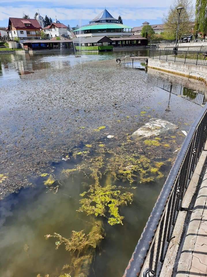 Lacul Bisericii se afla intr-o stare deplorabila