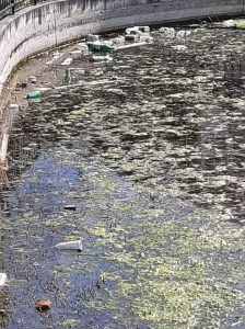 Lacul Bisericii se afla intr o stare deplorabila