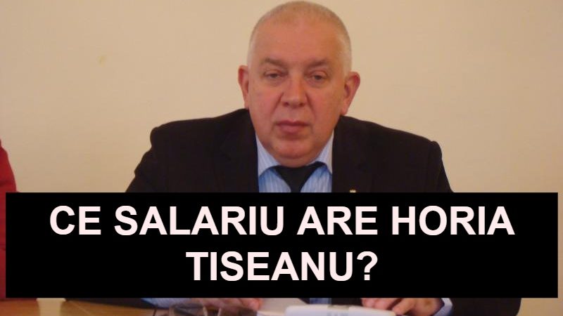 ce salariu are Horia Tiseanu